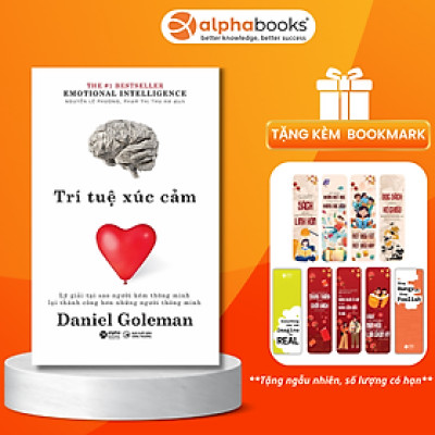 Trí Tuệ Xúc Cảm (Emotional Intelligence) 