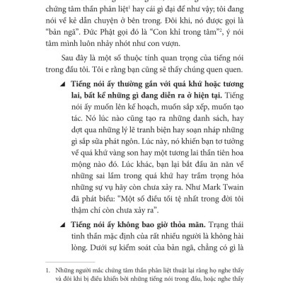 Thiền Cho Người Năng Động Và Hoài Nghi