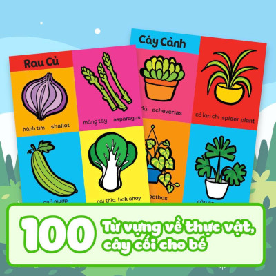 Sách - My First 100 Plants - Thế Giới Thực Vật - Megabook