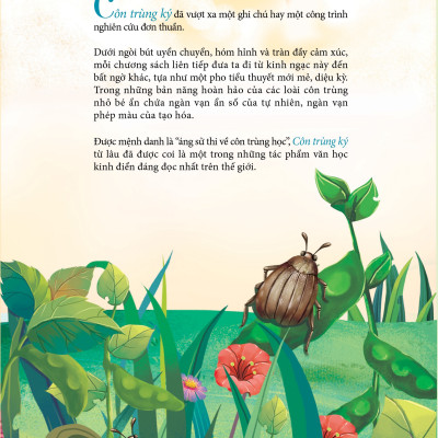 Combo 5 tập Côn trùng ký (1 - 5) - Ấn bản đầy đủ