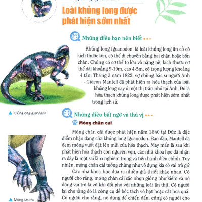 Khám Phá Bí Ẩn Thế Giới Tự Nhiên Dành Cho Học Sinh : Khủng Long_ML