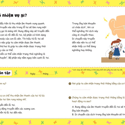 Bồi Dưỡng Kĩ Năng Đọc Hiểu Cho Học Sinh Tiểu Học