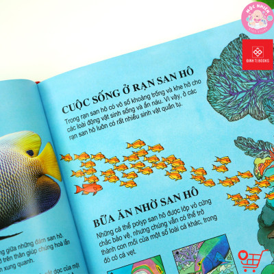 Sách thiếu nhi - Bách khoa tri thức dành cho trẻ em (Usbone) - Tái bản 2022 - Đinh Tị Books