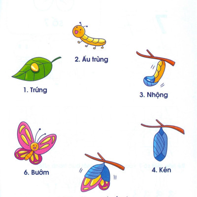 Vở Tập Viết Toán Học 123 Qua Các Trò Chơi Trí Tuệ - Tập 2