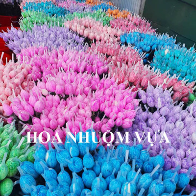 10 chai Nhuộm Hoa tươi dạng nước (Chai 1L x 10 Màu) Công Nghệ Israel giúp hoa nhuộm đổi màu theo ý muốn nhuộm trên 250 cành hoa x 1 chai