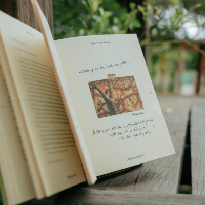 Sách - Bong Bóng Ơi, Bay Lên! - Bìa Cứng