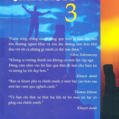 Hạt Giống Tâm Hồn 3 (Tái Bản 2013)