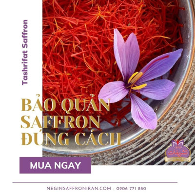 Nhụy hoa nghệ tây Tashrifat Saffron loại chuẩn Negin (1 Grams)