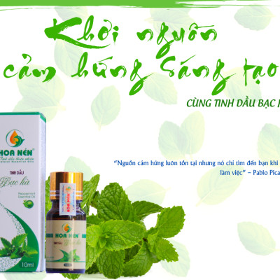 Tinh dầu Bạc Hà nguyên chất Hoa Nén 3ml - 100ml - Thư giãn, kháng khuẩn, làm đẹp da