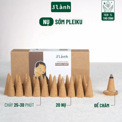 Nụ Thủ Công Sớm Pleiku 3 Lành Hộp 20 Nụ 100 % Tự Nhiên Tặng Kèm Đế Chăm, Không Hóa Chất, Xông Thơm