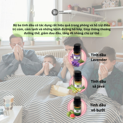 Combo Tinh Dầu Bảo Vệ Sức Khỏe Nano Cinnamon - Quế, Bạc Hà, Sả, 30ml