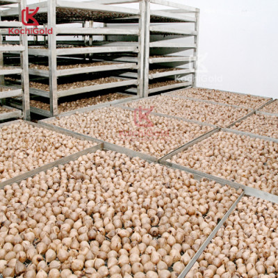 Tỏi đen Eco cô đơn bóc vỏ Hộp 250g