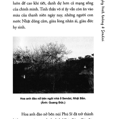 Nhật Ký Vùng Tâm Chấn (Tái Bản 2018)