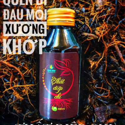 Tinh dầu xoa bóp Thất Diệp Chi - Hoa Nén - Giảm đau lưng, nhức mỏi, bầm tím - 100ml