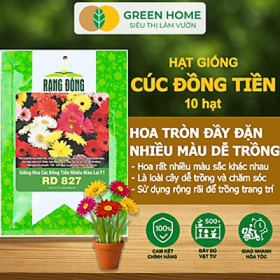 Hạt Giống Hoa Cúc Đồng Tiền Nhiều Màu GreenHome, Gói 10 hạt, Hoa Nở Rực Rỡ, Dễ Trồng Quanh Năm H17