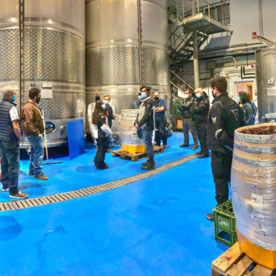 Rượu Vang Organic hữu cơ Castillo de Almansa Coleccion Garnacha Tintorera (Tây Ban Nha) kèm túi giấy,đồ khui