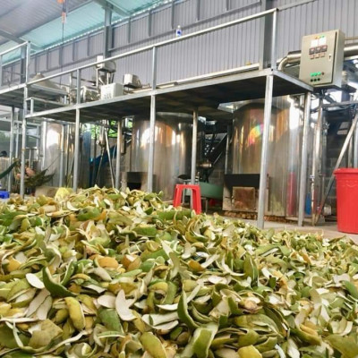 Tinh dầu Bưởi Da Xanh nguyên chất từ vỏ bưởi da xanh, xông phòng, khử mùi, thơm phòng, đuổi muỗi - KingOil