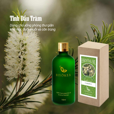 Tinh dầu Tràm (Cajeput) - 100ml