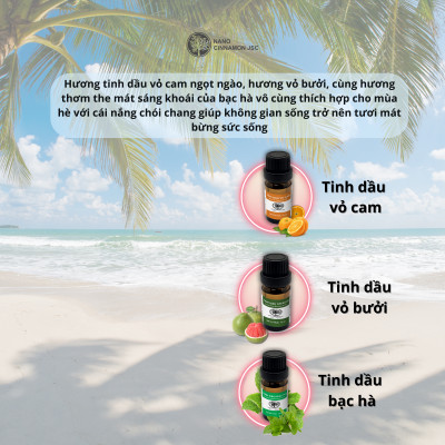 Combo Tinh Dầu Mùa Hè Tươi Mát Nano Cinnamon - Cam, Bạc Hà, Bưởi, 30ml