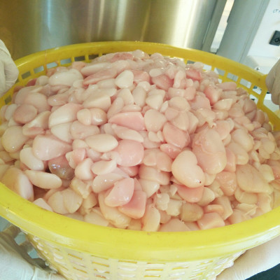 MỠ TRĂN NGUYÊN CHẤT