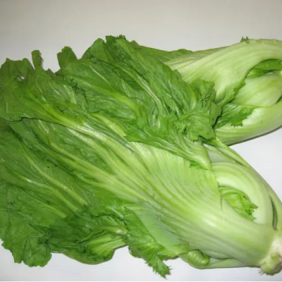 Hạt giống Cải Bẹ Dưa - Cải Tòa Xoại gói 20g VTS97