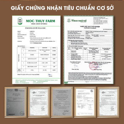Tinh Dầu Quýt Homer 100ml - Chính Hãng, Đạt Chuẩn Kiểm Định Cao Cấp - Tinh Dầu Xông Thơm Phòng, Thư Giãn, Khử Mùi hiệu quả