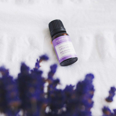 Tinh dầu oải hương - Pure essential oil 10 ml - LAVENDER
