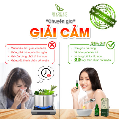 Tinh Dầu Lá Xông Mix22 Biyokea Thiên Nhiên Nguyên Chất 20ml