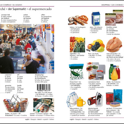 5 Language Visual Dictionary: Over 6,500 Illustrated Terms, Labelled In English, French, German, Spanish And Italian
