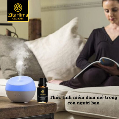 Tinh dầu Cà Phê zitaHima dung tích 10ml - Tinh Dầu Thiên Nhiên Nhập Khẩu