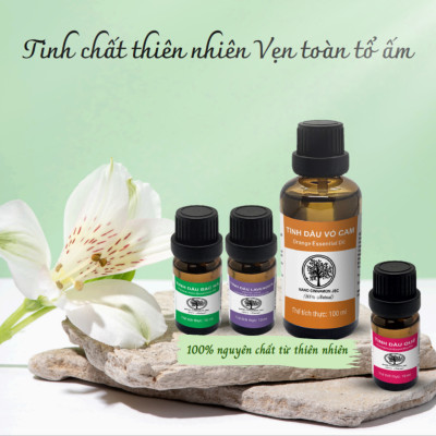 Tinh dầu Khuynh diệp thiên nhiên nguyên chất Nano Cinnamon 10/30/50/100ml - thông mũi, đuổi côn trùng. Có kiểm định