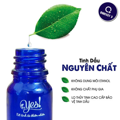 TINH DẦU SẢ CHANH YES! ( LEMONGRASS ESSENTIAL OIL )