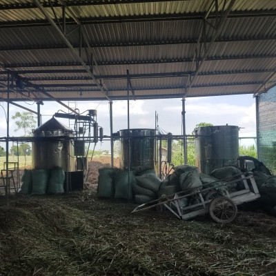 Tinh dầu Sả Java 50ml Mộc Mây - tinh dầu thiên nhiên nguyên chất 100% - chất lượng và mùi hương vượt trội