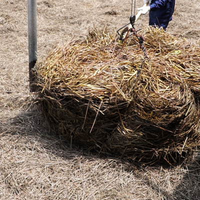 Tinh dầu Sả chanh 100ml Mộc Mây - tinh dầu nguyên chất 100% từ thiên nhiên - chất lượng và mùi hương vượt trội