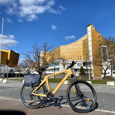 Xe đạp thể thao khung tre - Trevi Elite Sport