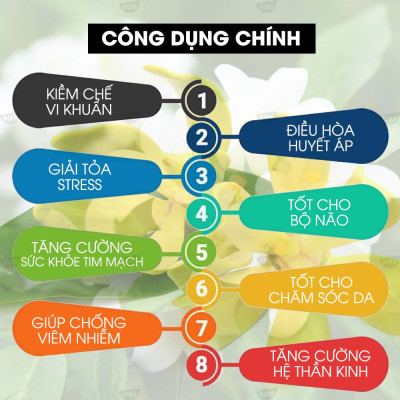 Tinh Dầu Ngọc Lan Tây Kobi (30ml) Treo Xe Hơi, Treo Phòng, Tủ Quần Áo - Tinh Dầu Thiên Nhiên Nguyên Chất, Giúp Giảm Stress, Xua Đuổi Côn Trùng Và Khử Mùi Hiệu Quả, Thích Hợp Dùng Với Đèn Xông Và Máy Khuếch Tán - Tặng Kèm Vỏ Lọ Treo Sang Trọng, Tiện Dụng