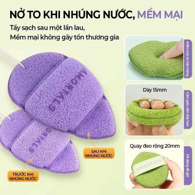 COMBO Hộp 3 Bông Mút Rửa Mặt Amortals, Mút Rửa Mặt Bọt Biển, Làm Sạch Mặt, Bông Mút Hình Giọt Nước - HÀNG CHÍNH HÃNG MINIIN