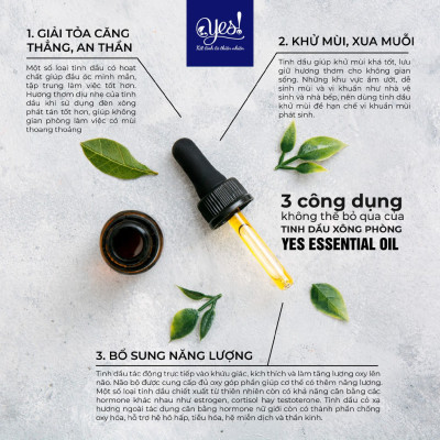 TINH DẦU TRÀM GIÓ YES! (CAJEPUT ESSENTIAL OIL)