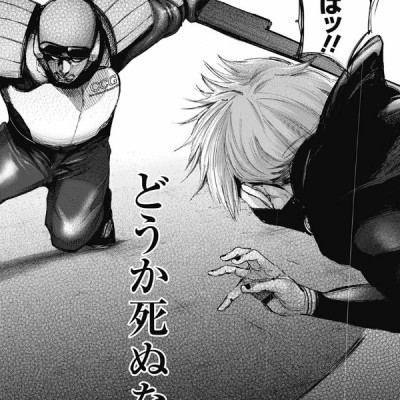 Tokyo Ghoul 14 (Japanese Edition)