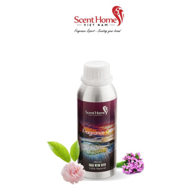 Tinh dầu Scent Homes - mùi hương (Dawn)