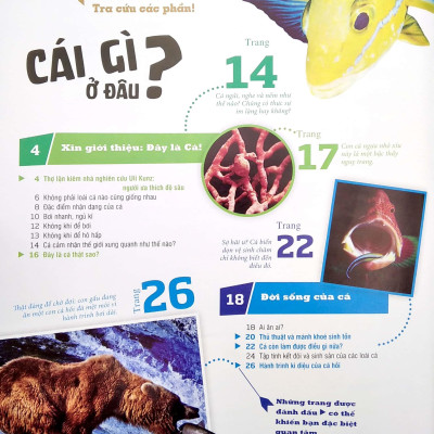 Thế Nào Và Tại Sao - Các Loài Cá - Thế Giới Diệu Kì Dưới Nước