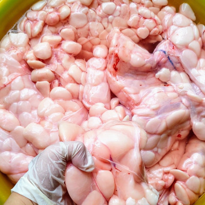 MỠ TRĂN NGUYÊN CHẤT