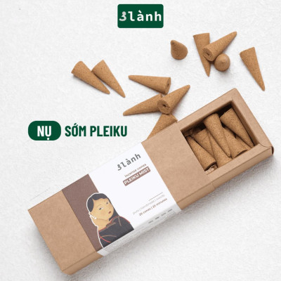 Nụ Thủ Công Sớm Pleiku 3 Lành Hộp 20 Nụ 100 % Tự Nhiên Tặng Kèm Đế Chăm, Không Hóa Chất, Xông Thơm