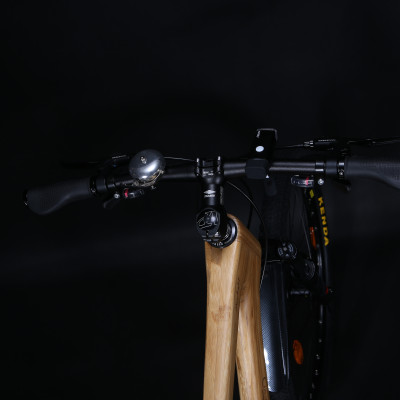 Xe đạp thể thao khung tre - Trevi Elite Sport