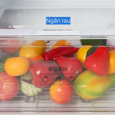 Tủ Lạnh Inverter Samsung 208 Lít RT20HAR8DBU/SV- Hàng Chính Hãng - Chỉ Giao tại HCM