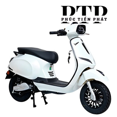 Xe Ga Điện Ally Vegas EV