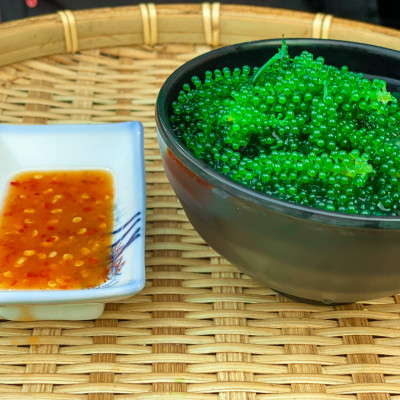 COMBO 5 túi zipper RONG NHO GREEN FOOD + tặng kèm 5 túi xốt 15ml (mỗi túi 100gram nở được 250gram tươi)