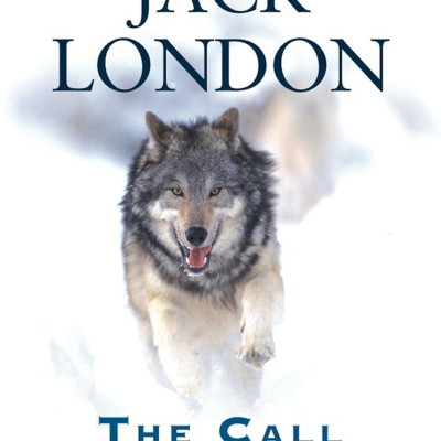 Signet Classics: The Call of the Wild and Selected Stories (With a New Afterword by Tobey Hiller)