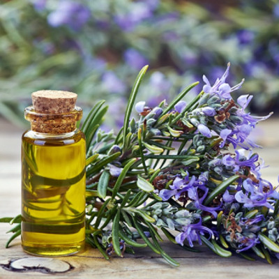 Tinh dầu hương thảo nguyên chất tự nhiên, xông phòng, khử mùi, thơm phòng, đuổi muỗi, thư giản - KingOil