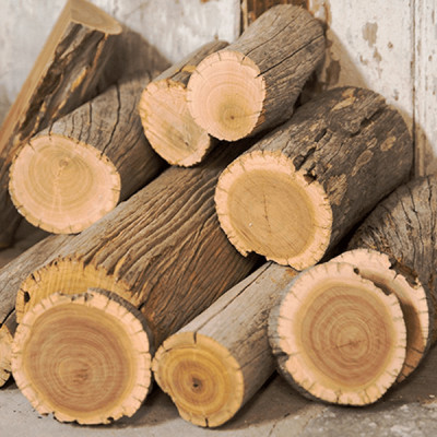 Tinh dầu gỗ Tuyết Tùng (Hoàng Đàn) 100ml nguyên chất từ thiên nhiên, xông phòng, khử mùi, thơm phòng, đuổi muỗi, thư giản - KingOil